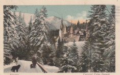 SINAIA , CASTELUL PELES (IARNA ) ED. NICU BUDUROI , CIRCULATA 1923 foto