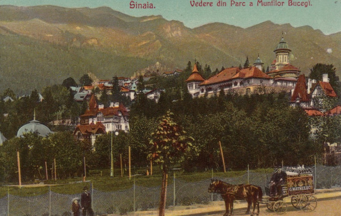 SINAIA , VEDERE DIN PARC A MUNTILOR BUCEGI