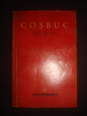 COSBUC - FIRE DE TORT foto