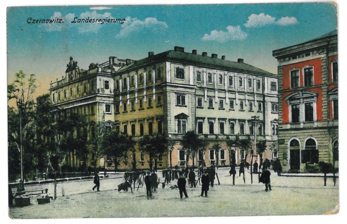3561 - CERNAUTI, Bucovina, Market - old postcard - used - 1918