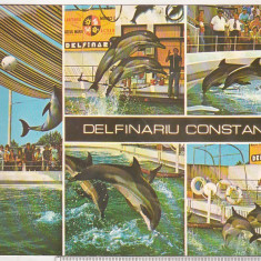 bnk cp Constanta - Delfinariu - necirculata