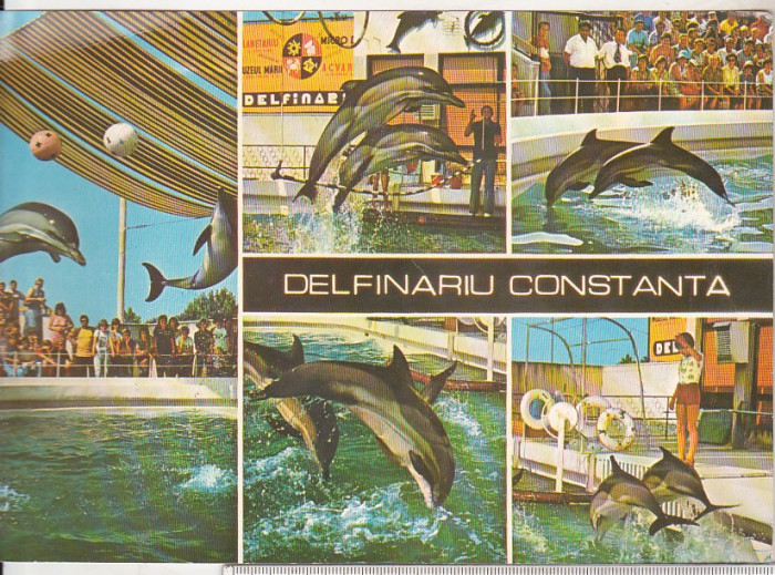 bnk cp Constanta - Delfinariu - necirculata