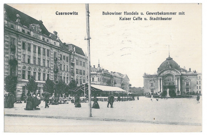 3552 - CERNAUTI, Bucovina, Market - old postcard - used - 1914