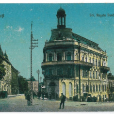 3564 - CERNAUTI, Bucovina, street Ferdinand - old postcard - unused