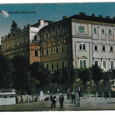 3562 - CERNAUTI, Bucovina, Market - old postcard - unused