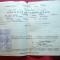 Certificat de Nationalitate 1946 cu 6 timbre fiscale