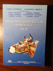 Anatomia animalelor domestice, vol 2 (Viscerele)- V. Cotofan, V. Hritcu (2007) foto