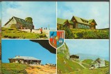 CPI (B7631) CARTE POSTALA - MUNTII BUCEGI. CABANE