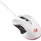 Mouse gamer Asus Cerberus Arctic USB, White