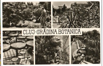 CPI (B7614) CARTE POSTALA - CLUJ. GRADINA BOTANICA. MOZAIC foto