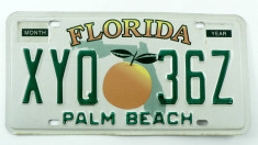 Numar de inmatriculare vechi - Palm Beach - Florida - USA - foto