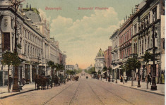 BUCURESTI , BULEVARDUL ELISABETA , TRASURI , CIRC. 1908 foto