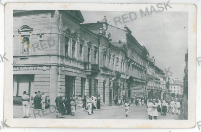 647 - CERNAUTI, Bucovina - old postcard - unused
