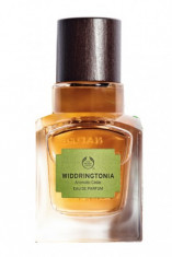 Parfum The Body Shop Widdringtonia foto