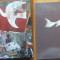 Georges Braque , Munchen , 1988 , album