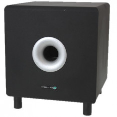 SUBWOOFER ACTIV 10 inch 120W HYUNDAI foto