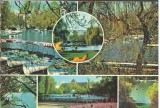 CPI (B7656) CARTE POSTALA - BUCURESTI. GRADINA CISMIGIU, MOZAIC, Circulata, Fotografie