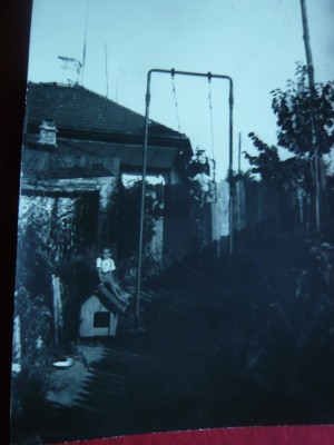 Fotografie -Leagan la Tara in curtea casei , interbelica , 17,7 x 15,4 cm foto