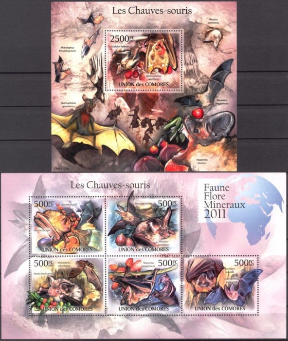 COMORES 2011 LILIECI