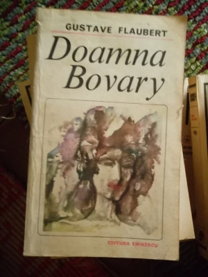 DOAMNA BOVARY foto