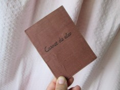 Carnet de elev vechi 1971-1972, carnet de note, carnet de elev comunist foto