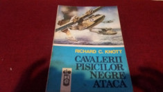 RICHARD C KNOTT - CAVALERII PISICILOR NEGRE ATACA foto