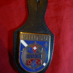 Insigna Militara Elvetia -SHQSU -Conducere pt.Trupe OSCE , h= 4,5 cm