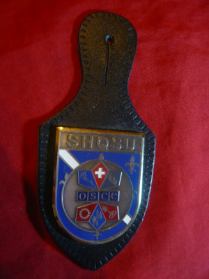 Insigna Militara Elvetia -SHQSU -Conducere pt.Trupe OSCE , h= 4,5 cm foto