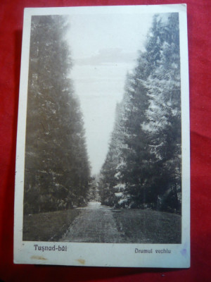 Ilustrata -Tusnad - Drumul vechi 1926 ,circ.cu 2 lei Ferdinand ,Ed.Bazar Andraso foto
