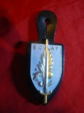 Insigna Militara ECAT ,metal si email , h= 6 cm