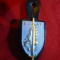 Insigna Militara ECAT ,metal si email , h= 6 cm