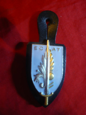 Insigna Militara ECAT ,metal si email , h= 6 cm foto