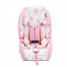 Scaun Auto Rover cu Isofix 2015, 9 - 36 kg Hearts foto