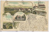 3634 - CISNADIOARA, Sibiu, Litho, Romania - old postcard - used - 1897