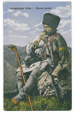 3624 - CIOBAN, Shepherd, Ethnic - old postcard - unused, Necirculata, Printata