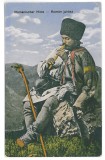 3624 - CIOBAN, Shepherd, Ethnic - old postcard - unused, Necirculata, Printata