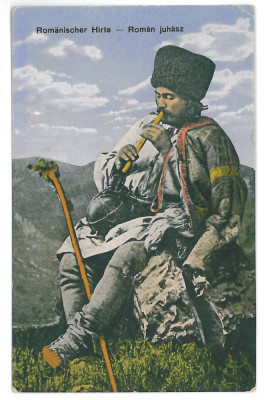 3624 - CIOBAN, Shepherd, Ethnic - old postcard - unused foto