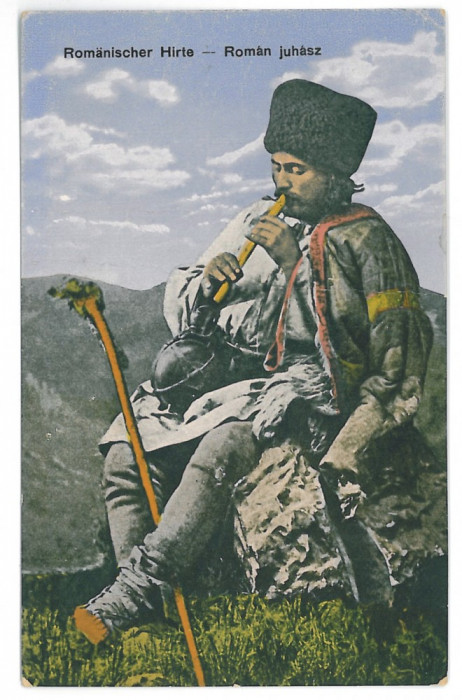 3624 - CIOBAN, Shepherd, Ethnic - old postcard - unused
