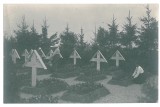 3627 - BUCURESTI, German CEMETERY - old postcard, real PHOTO - unused - 1917