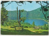 bnk cp Lacul Sf Ana - Vedere - necirculata