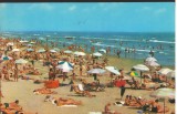 CPI (B7756) CARTE POSTALA - MAMAIA. PE PLAJA, Circulata, Fotografie
