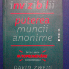 Invizibilii - David Zweig / R2S