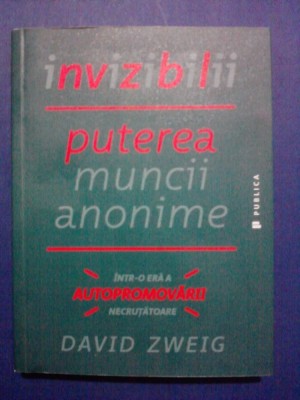 Invizibilii - David Zweig / R2S foto