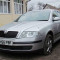 Skoda Octavia, 1.9 TDI, an 2007