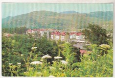 bnk cp Lucacesti - Vedere - necirculata