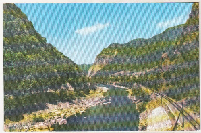 bnk cp Oltul la Calimanesti - Vedere - necirculata