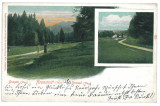 3617 - BRASOV, NOA, Litho - old postcard - used - 1906, Circulata, Printata