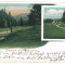 3617 - BRASOV, NOA, Litho - old postcard - used - 1906