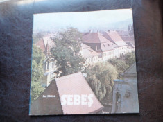 SEBES - ION MICLEA foto