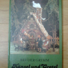 x Hansel und Gretel - Bruder Grimm (limba germana)